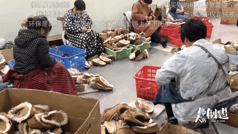 来到“顶级”毛皮一体基地，不用万把块就能拥有的皮草自由