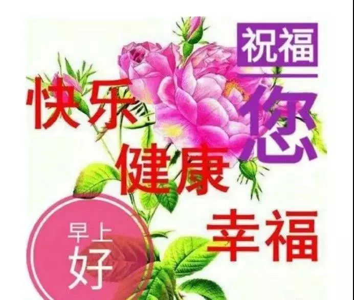 当事情进展不顺时你要坚强(淡然面对过去，坦然迎接将来，学会让心变得坚强，早安)