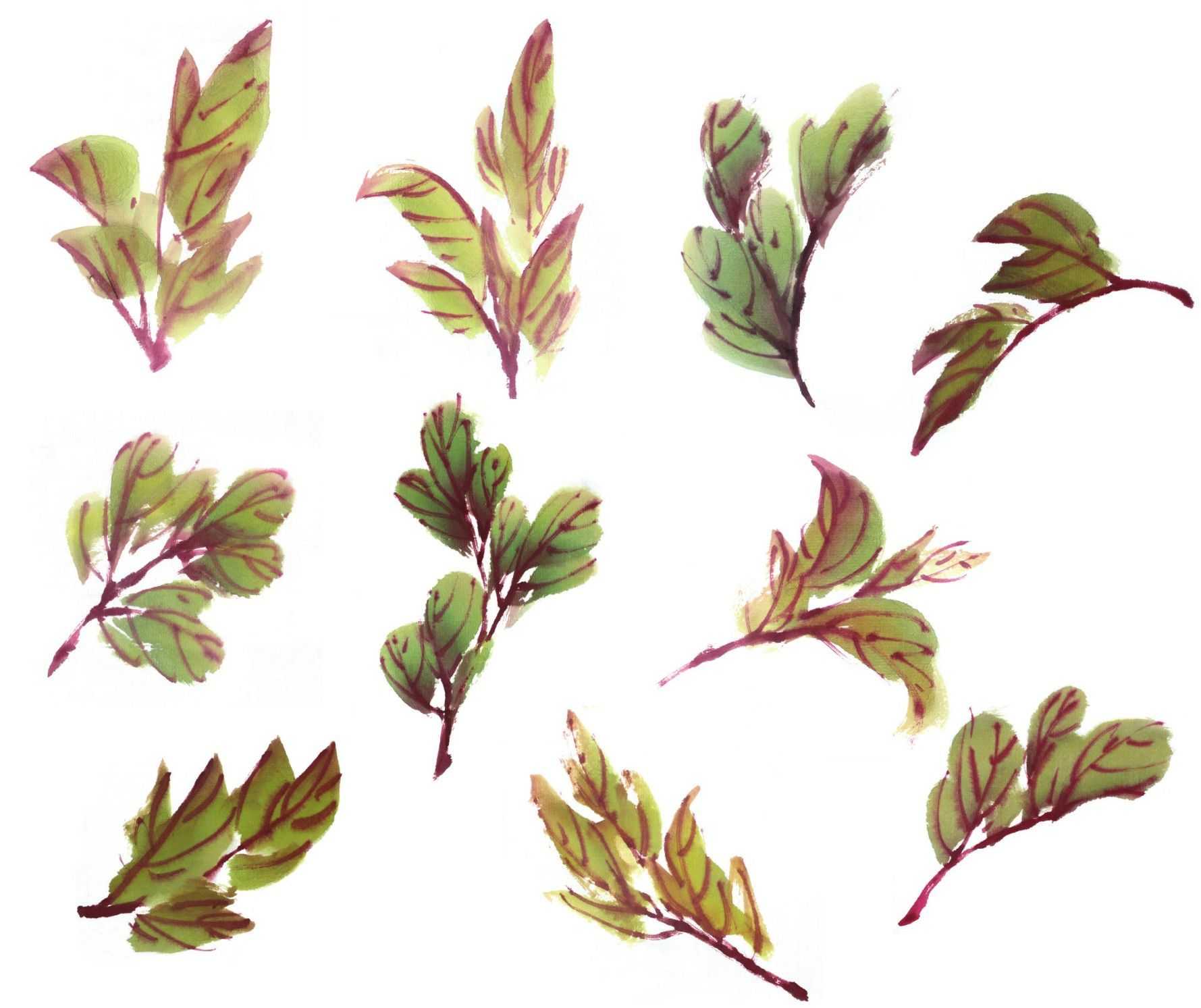 零基础国画教程:分步骤讲解牡丹叶子画法,简单易学,一起来临摹