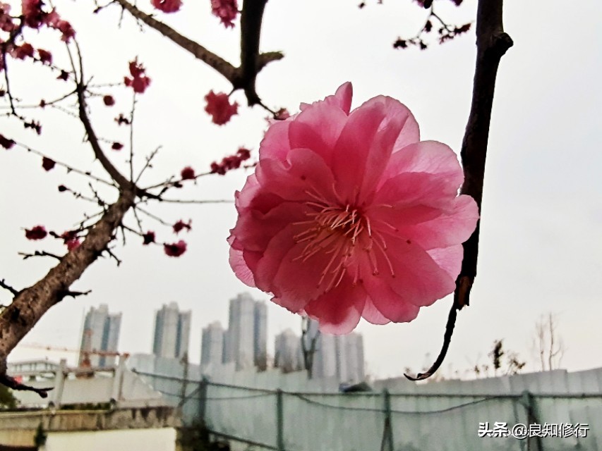 王阳明：世界是自己的，与他人无关