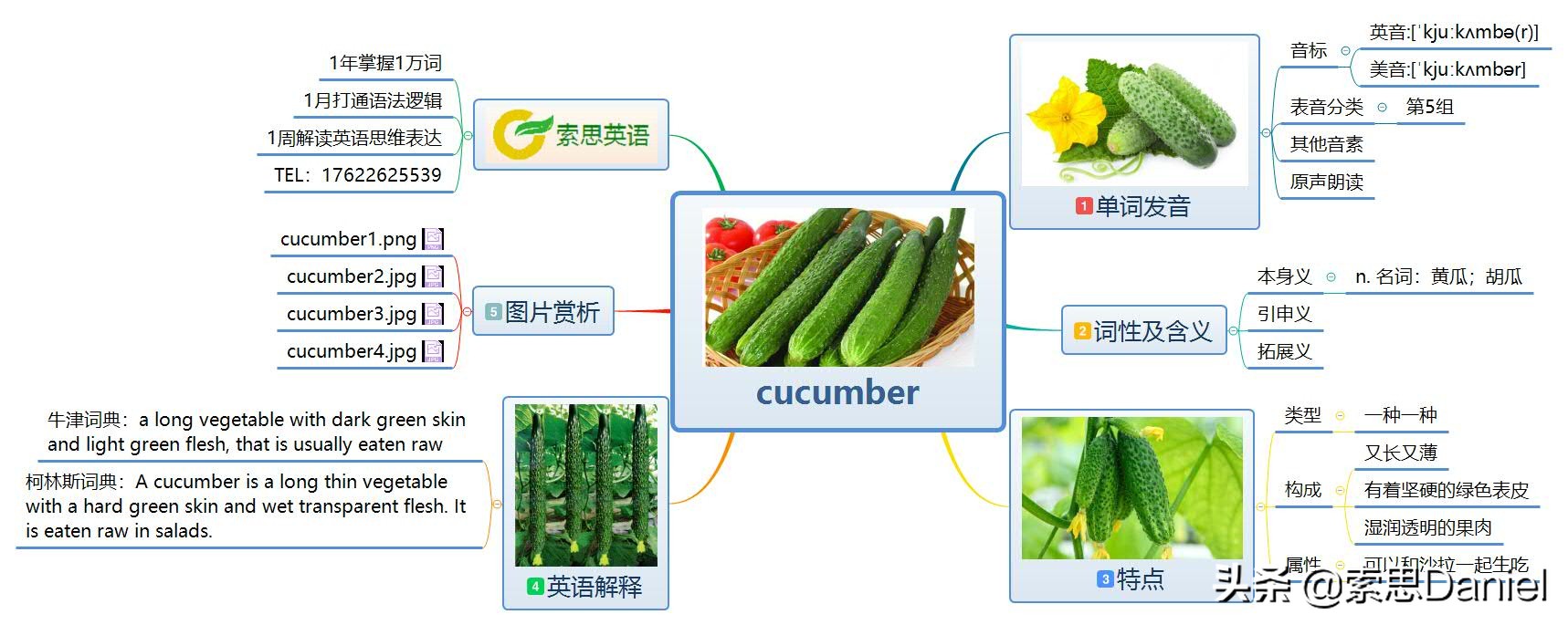 索思英語解码單詞（第84个）——cucumber黃瓜
