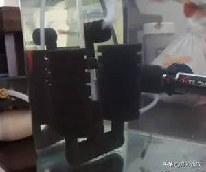 水妖精过滤器有什么用（水妖精过滤器作用及注意事项）