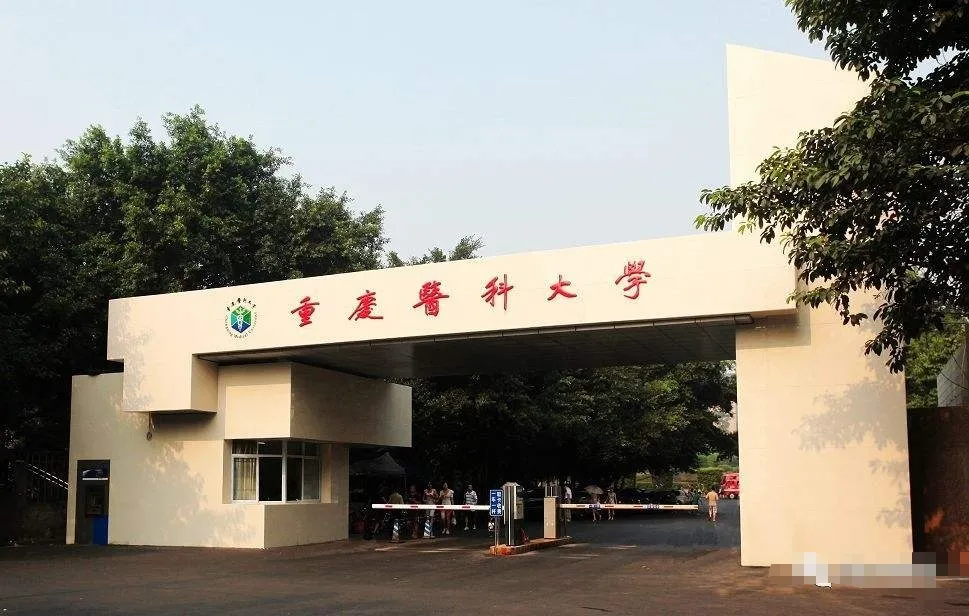 重庆28所高校排名，前10高校有哪些？重庆邮电进前5强！