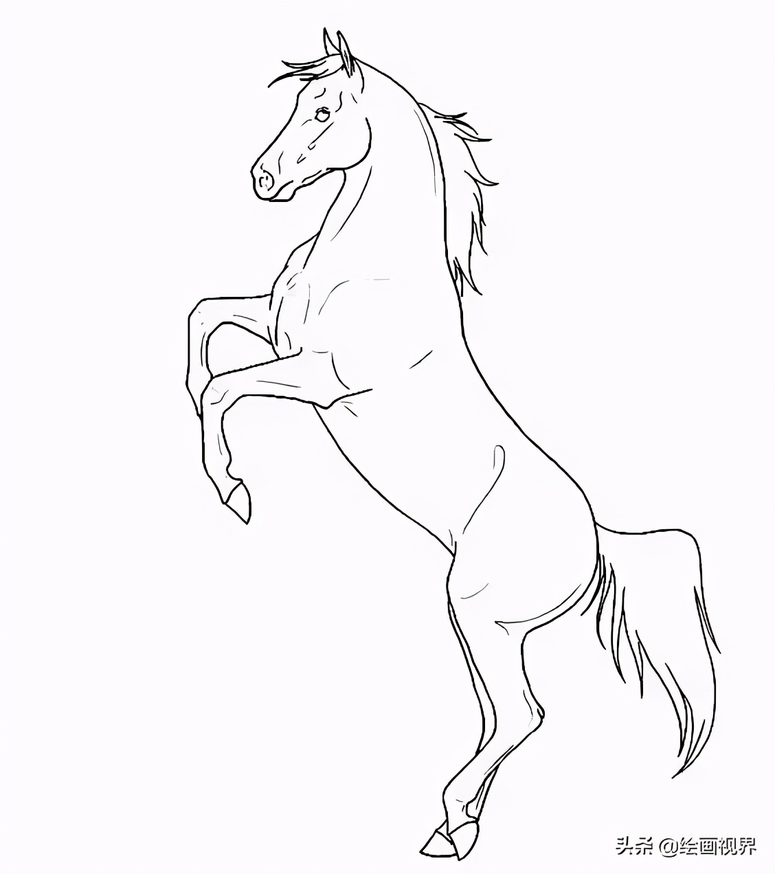 马很难画?从造型到线条,10种马的画法高清线稿教你画,快临摹