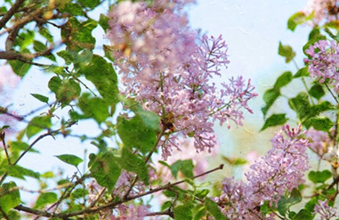 河北大学2017-2018录取分数线