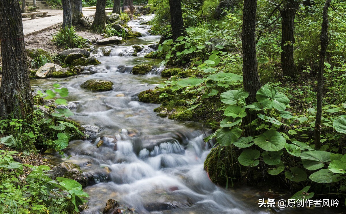 光阴即唱，山水亦歌