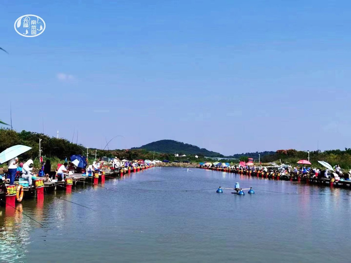 光福南菜園生態(tài)漁業(yè)垂釣項(xiàng)目助力生態(tài)農(nóng)業(yè)系統(tǒng)化品牌化發(fā)展