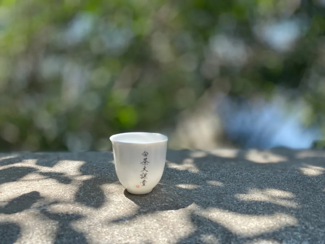 白茶该怎么存?白毫银针直接放在陶瓷茶叶罐,可以吗?