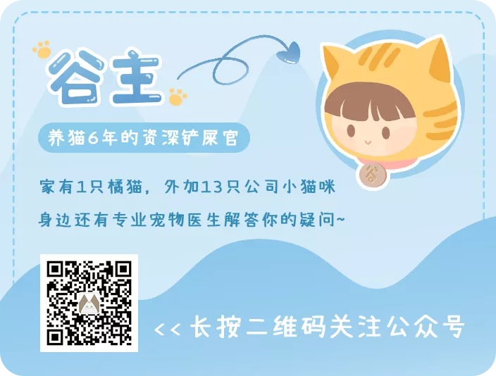 花了12000元拔光猫咪所有牙齿,只为让它活下去