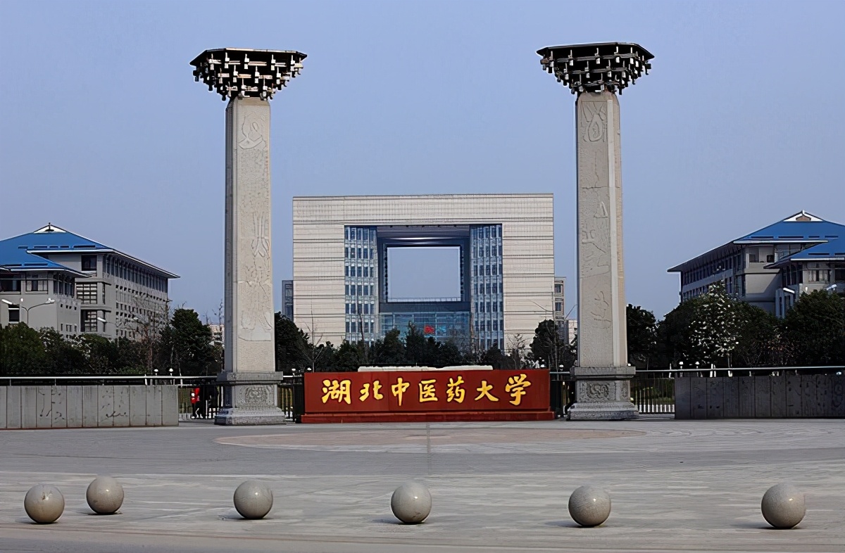 湖北省武汉市武昌区—10所高校信息