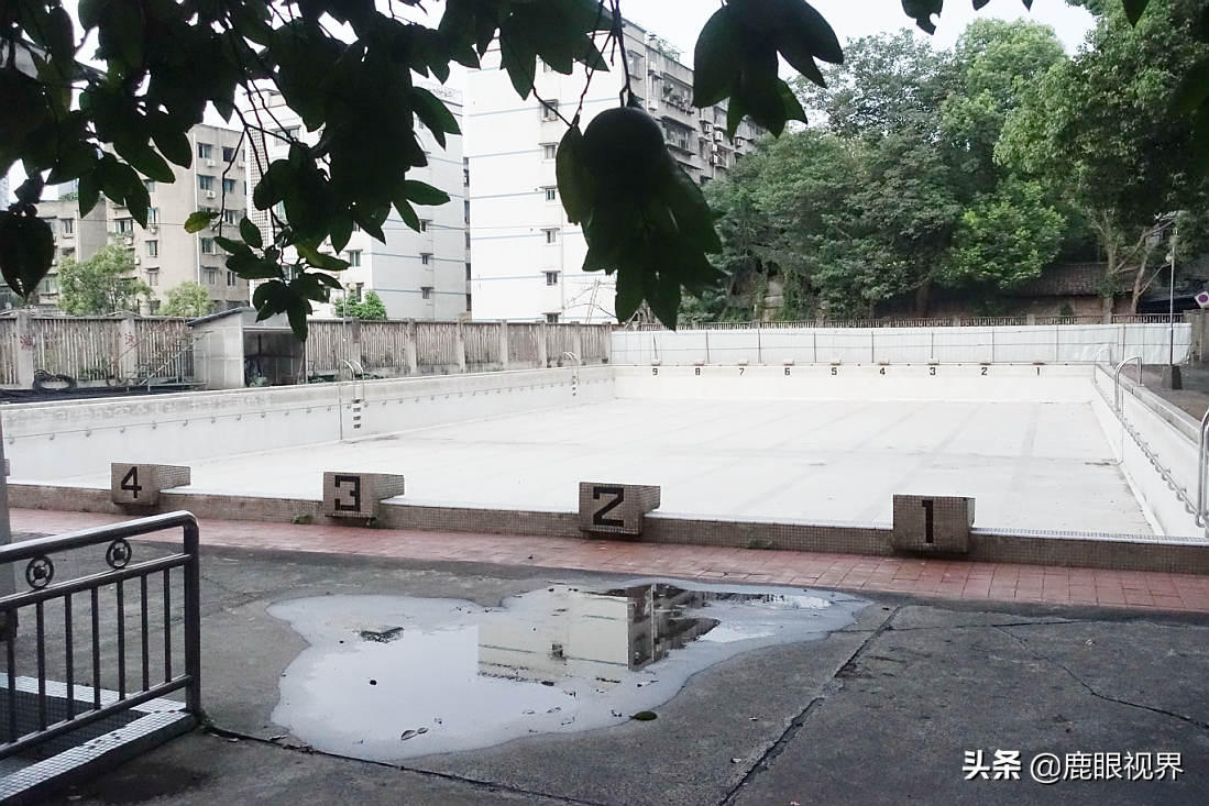 鹿眼视界 · 我的随拍之359 带你去看西华师范大学北湖校区