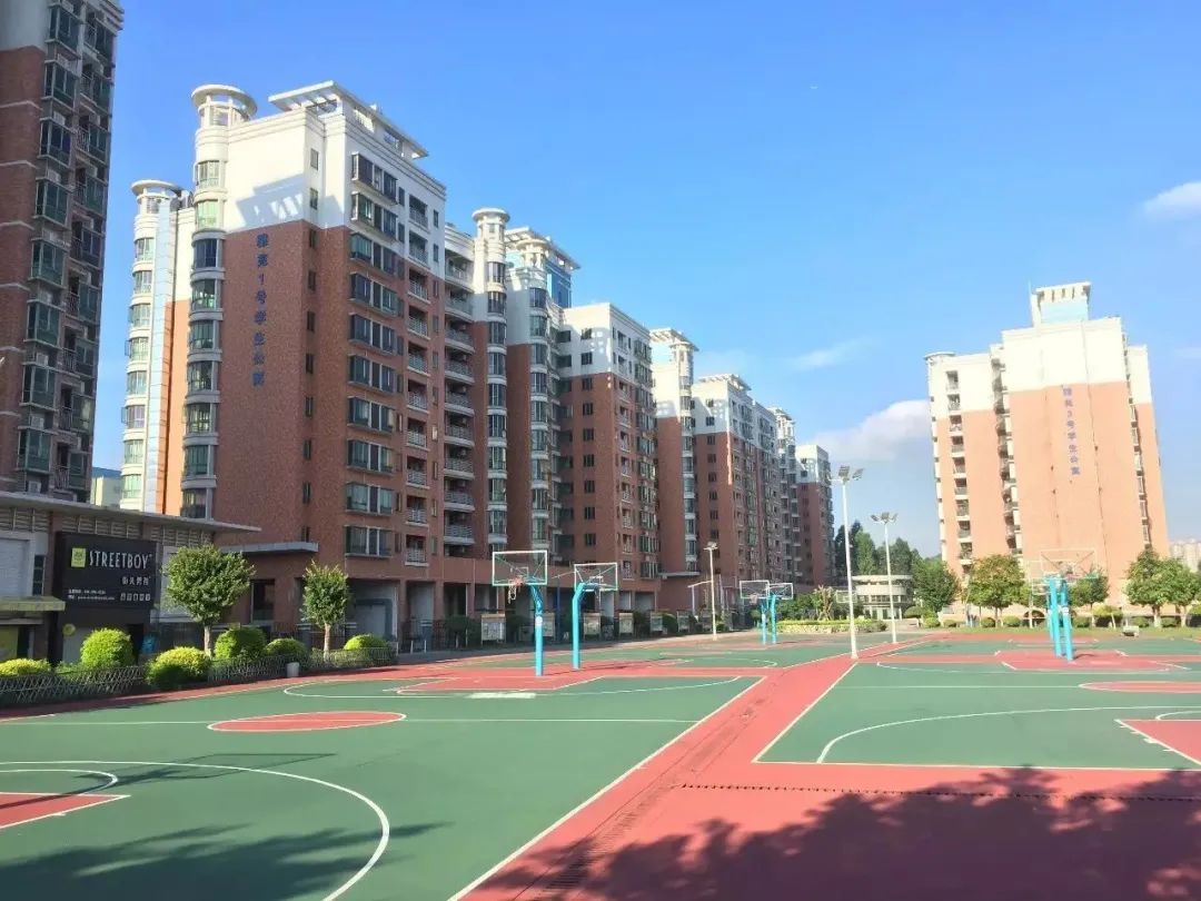 高职高考必看｜全面了解广东科技学院