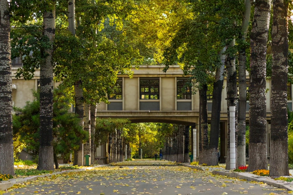 安徽传出“喜讯”！一所学院将更名，缓解当地高校资源不足现状