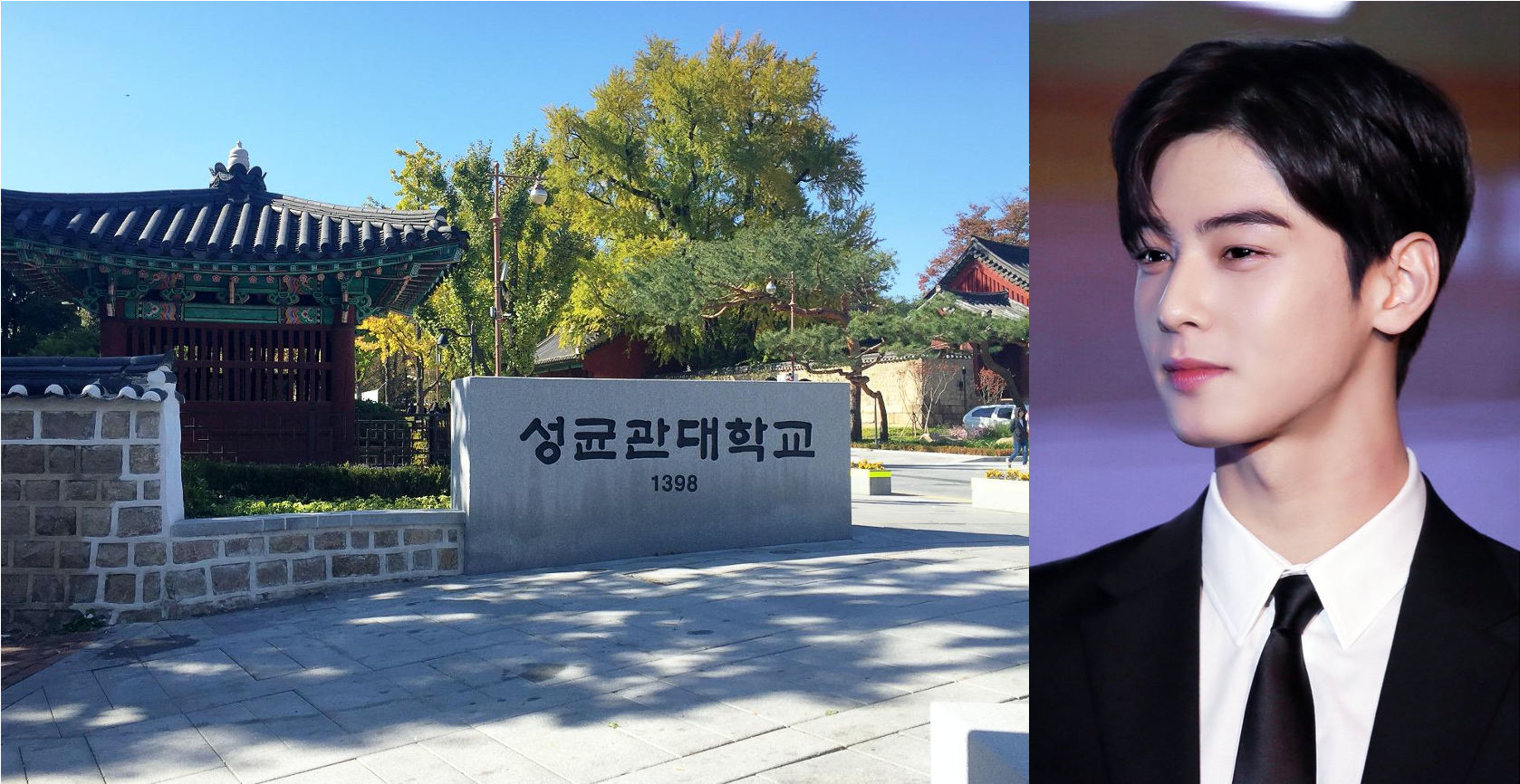 被韩国顶级学府录取的5位K-Pop偶像，郑秀晶和车银优领衔