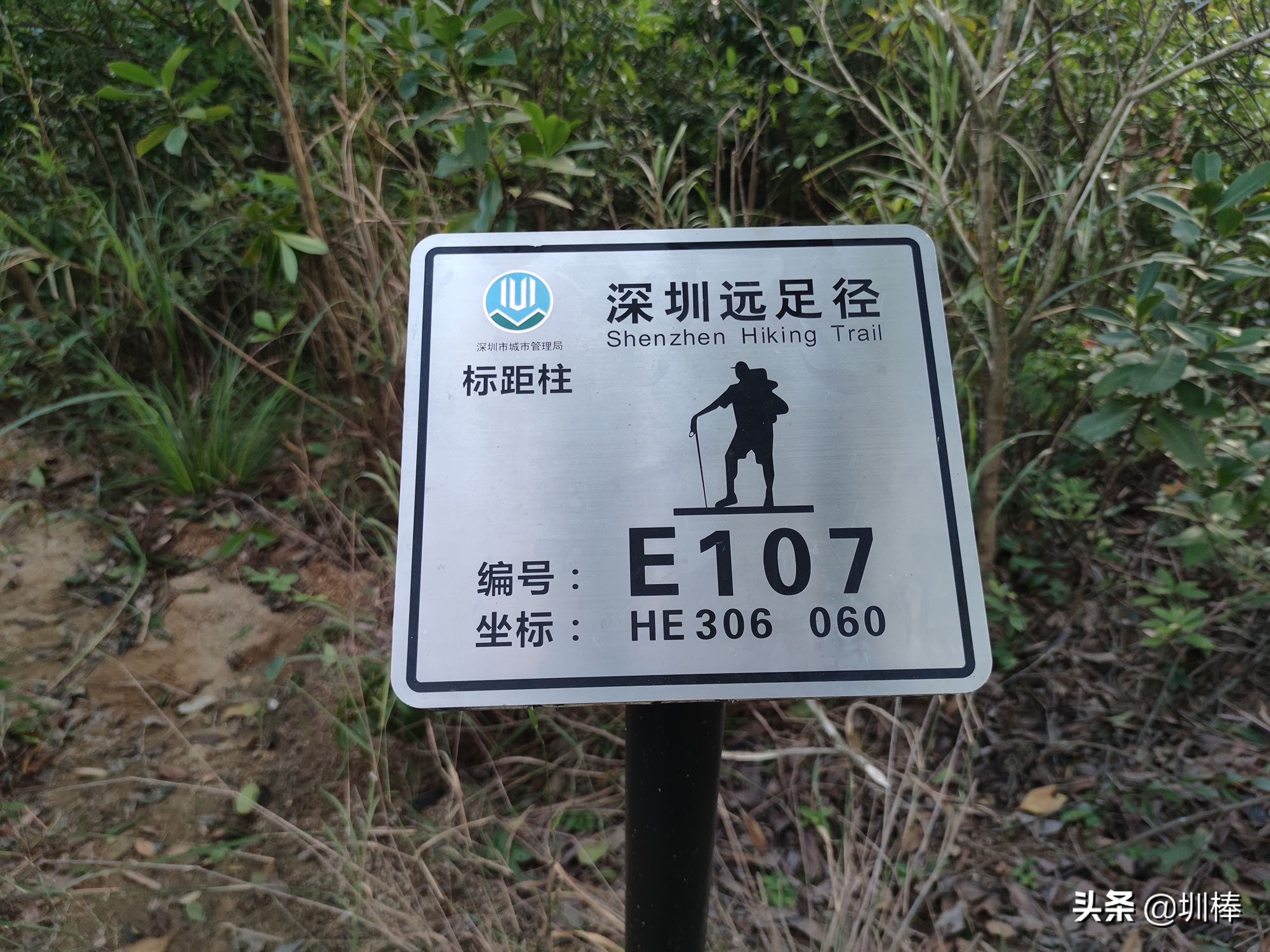 徒步深圳远足径马峦山，落日这么美，你不来看看吗？