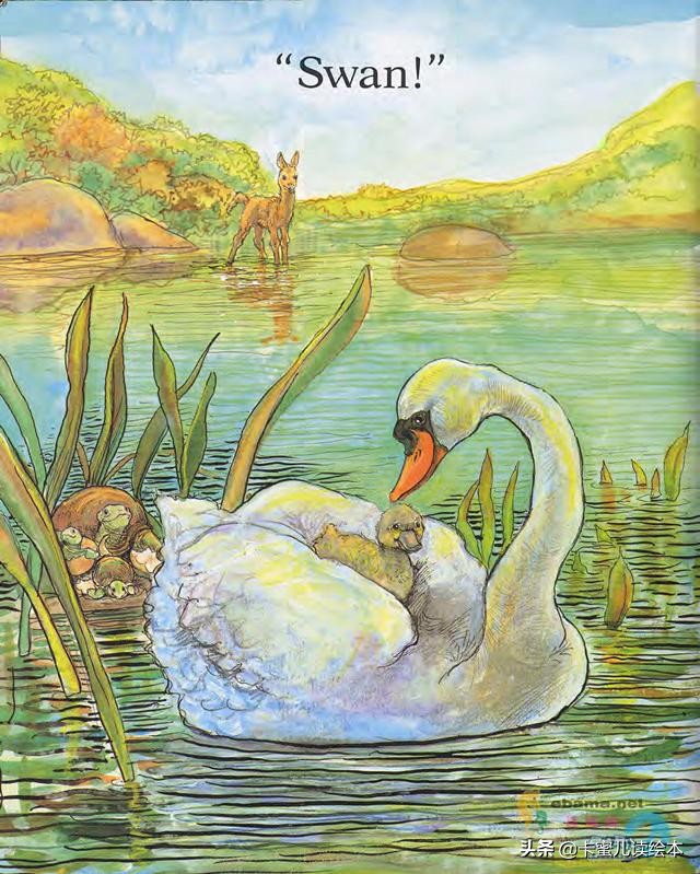 英文有声绘本《Is Your Mama a Llama》你的妈妈是羊驼吗？