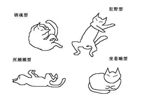“磨牙”是怎么回事?听我来分析分析