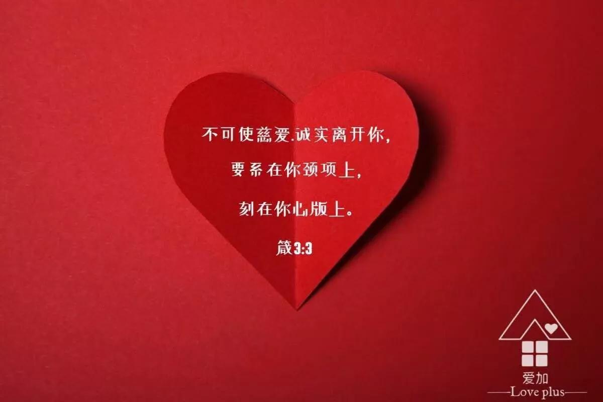 慢读圣经 出埃及记 第二十五章_晶羽科技