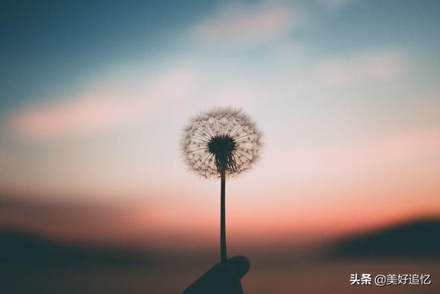 处女座：可是我们分手了！