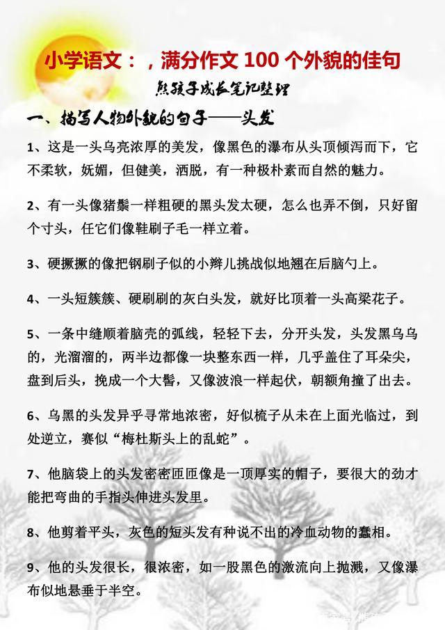 可爱小学生形象描写：圆脸大眼，扎着双马尾，笑起来有两个小酒窝