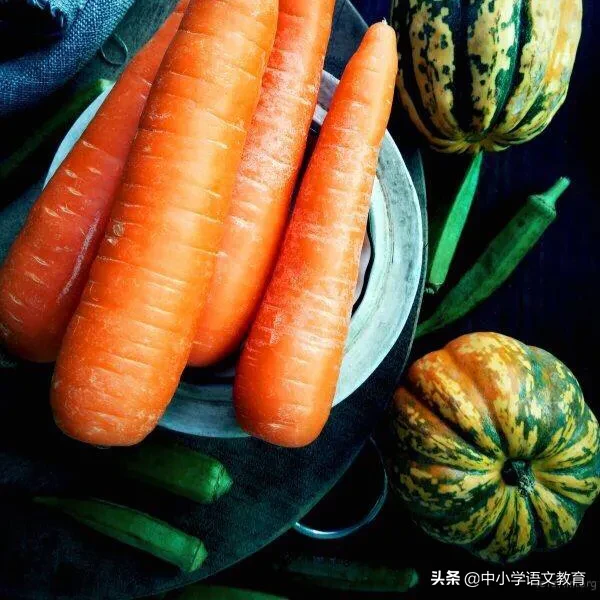 (每日一课)文言文学习:《唐雎不辱使命》带翻译和鉴赏!