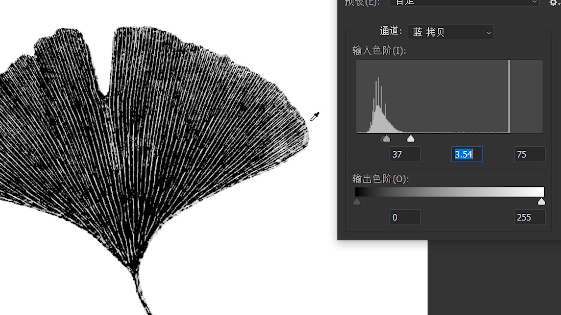 PS教程：利用通道，制作漂亮的叶脉图，图文加视频一学就会