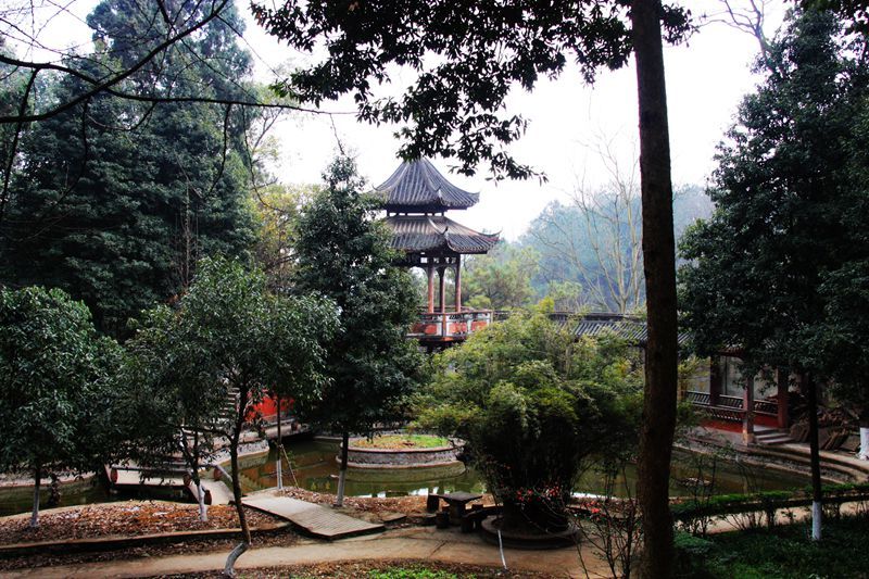 诗人闷闷不乐，登山偶遇高僧开悟，写下禅味七绝安慰世人千年