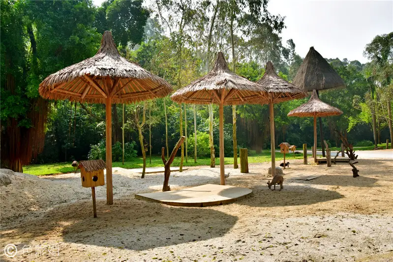 长隆欢乐世界旅游攻略景点必去（三天三夜欢乐长隆之旅）