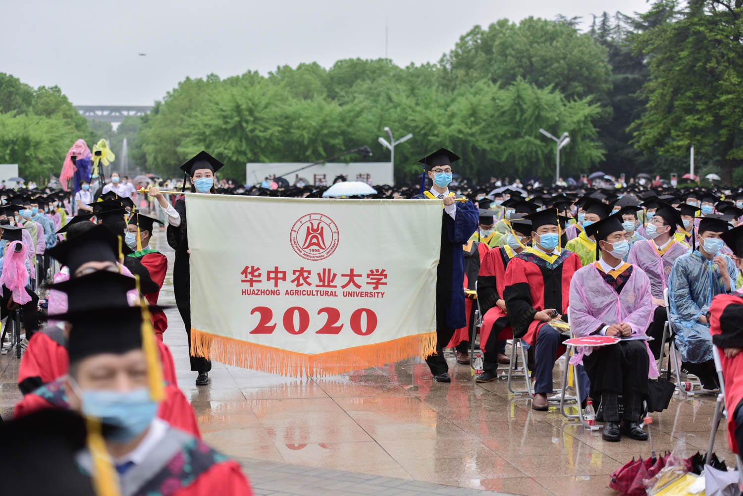 录取成绩分析：2021年艺考生报考华中农业大学需要多少分？