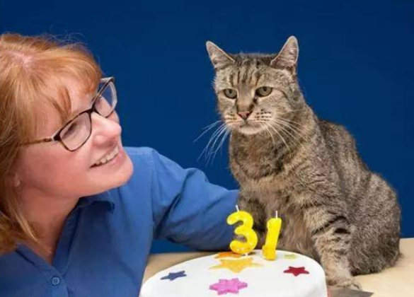 猫的寿命最长能活多少年？寿命最长的10种猫