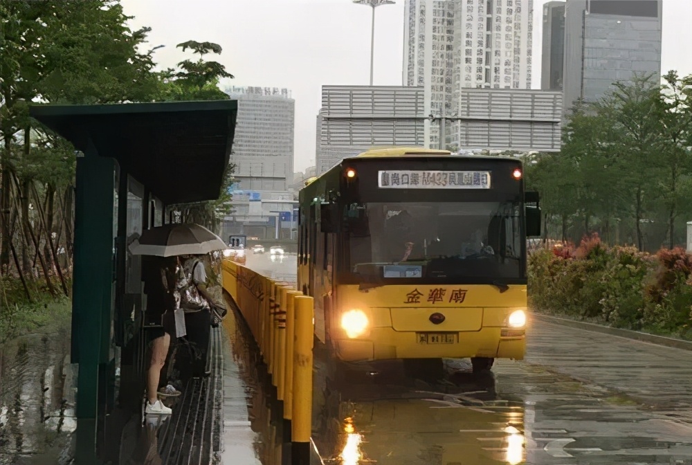 最美雨中花