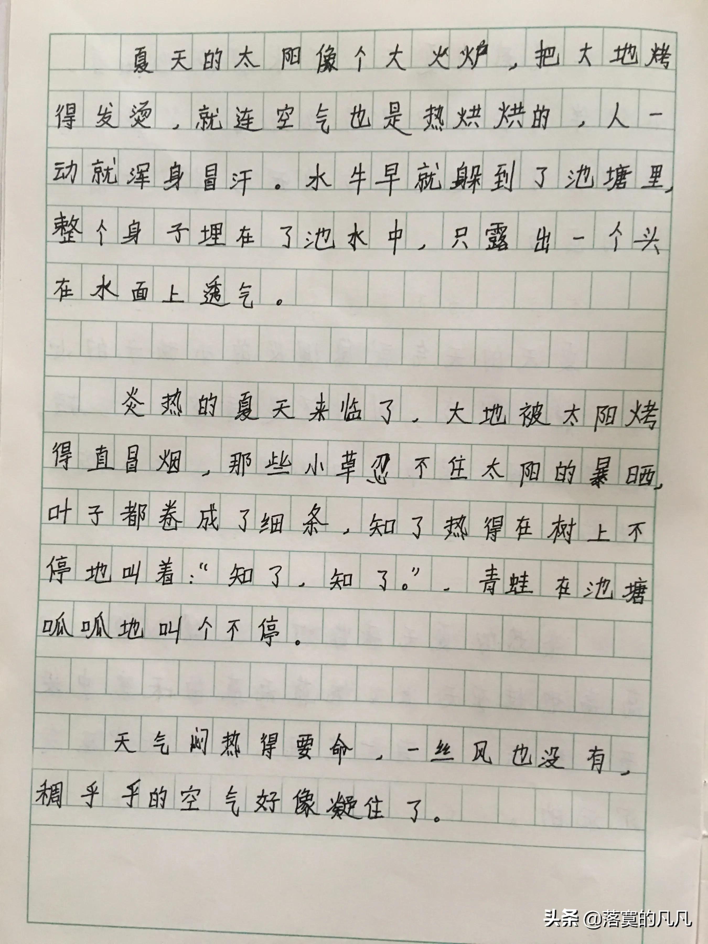 小学生作文素材（优美语句摘抄）描写夏天的句子