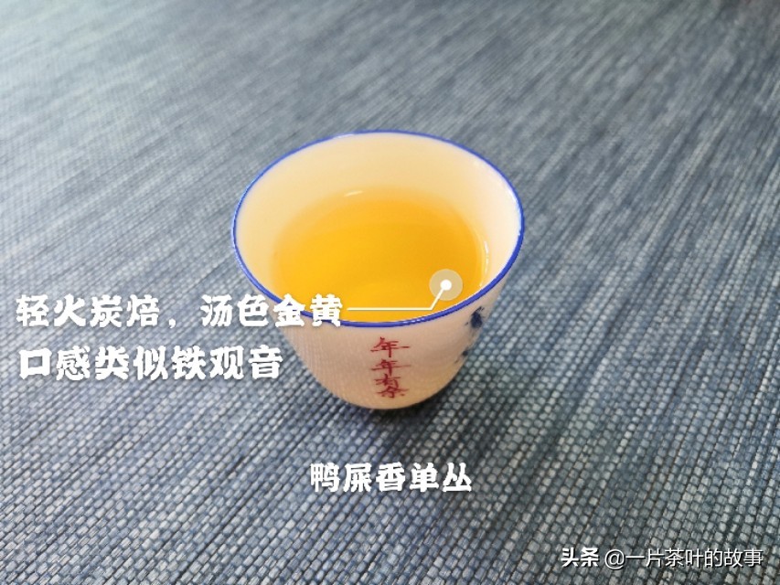 凤凰单丛茶是属于什么茶（一分钟全方位了解凤凰单丛）