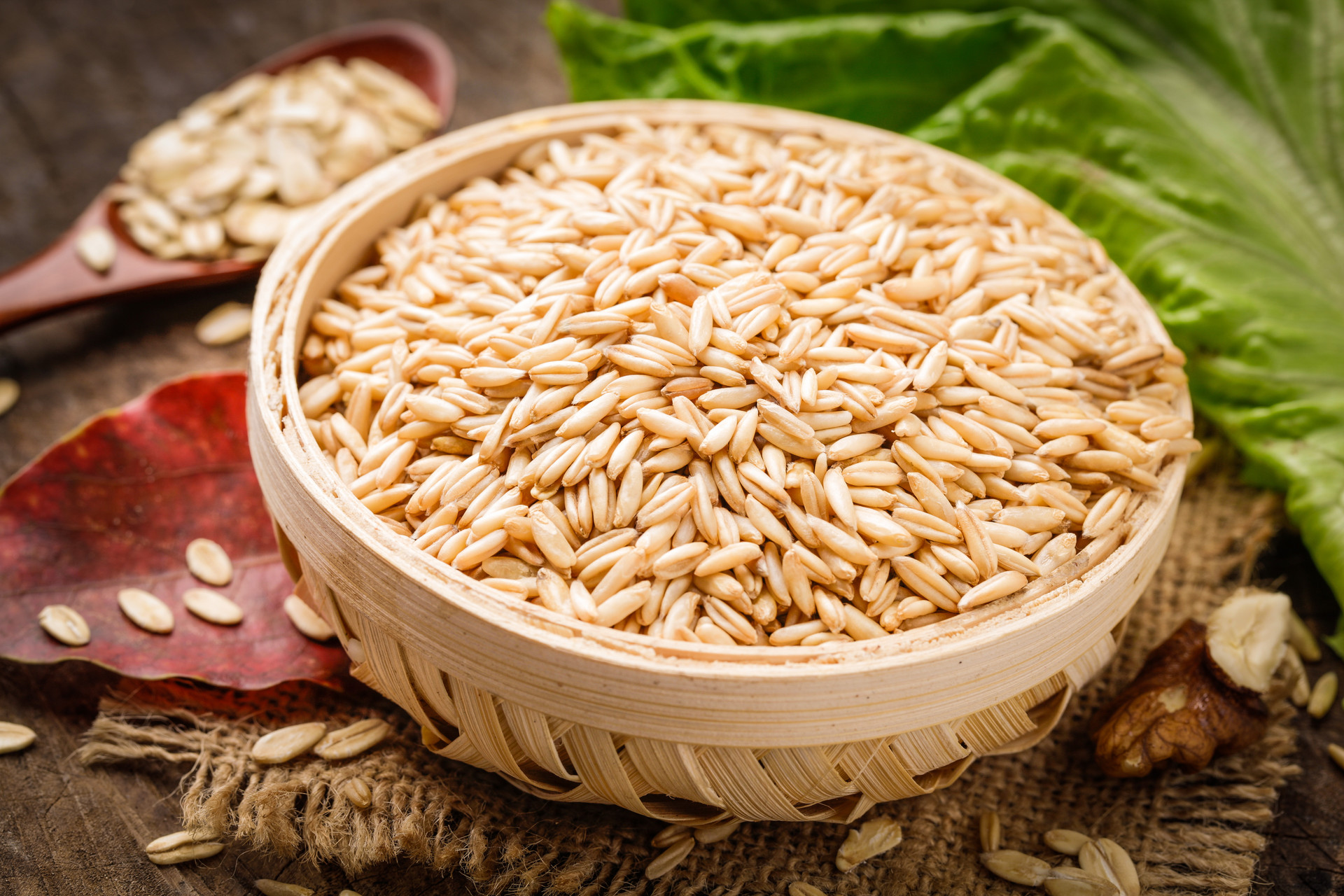 燕麦长什么样子图片(别总吃包子馒头了) - 赤虎壹号