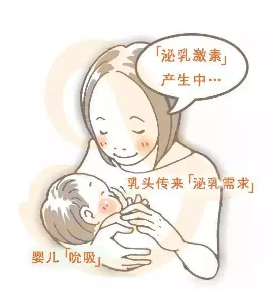 新生儿出生第一天喂母乳还是奶粉？过来人：找对方法都可以喂