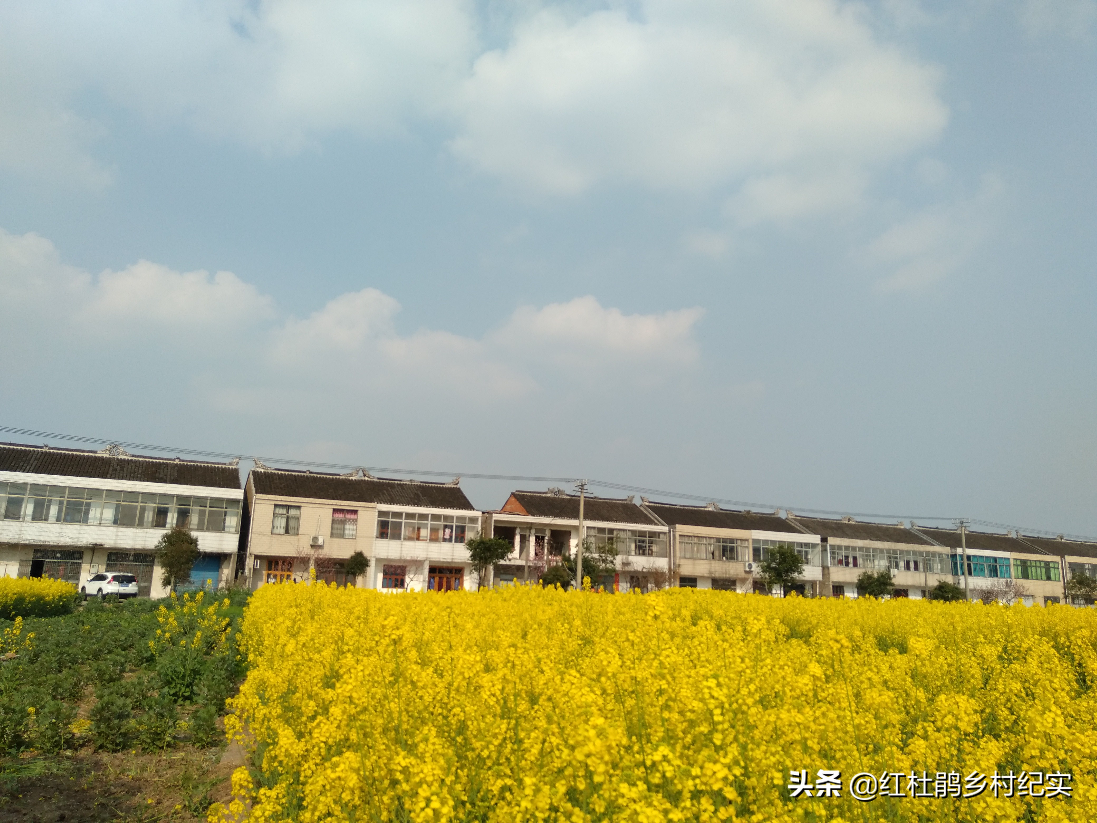 实拍苏中某村24年前的统建房，全村1排2户1栋，现在处于尴尬地位