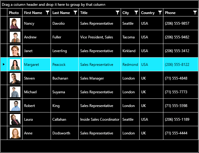 界面控件Telerik UI for WPF R3 2021 - 的高对比度主题