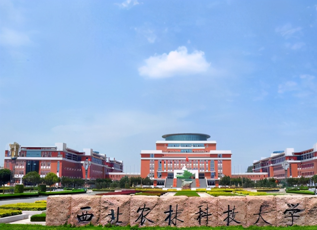 985名校“华而不实”的存在，就业不如普通本科，考生报考需谨慎