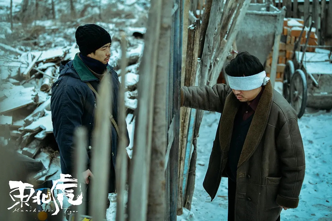 电影水凤凰好看吗 _晶羽科技