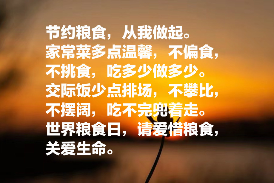粮食的故事好词好句精练60句