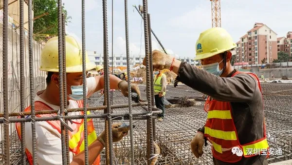 宝安区， 正在加速建设的两所公办学校，在你家附近吗？