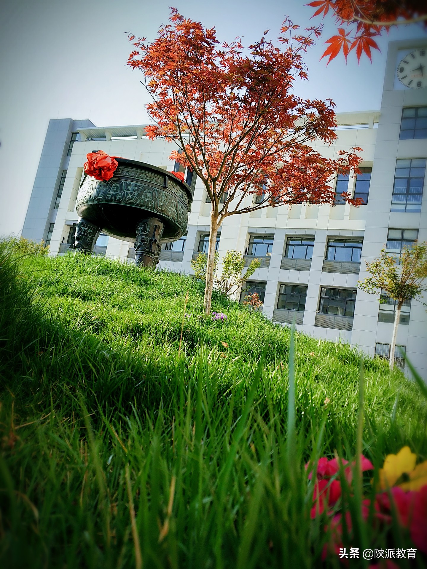 校园文化 | 厚植家国情怀，培育时代新人——宝鸡实验小学校园文化建设探索与实践