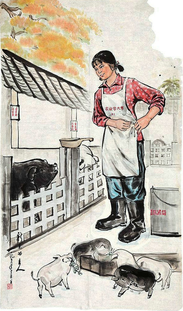 宣传画欣赏(一组养猪题材)