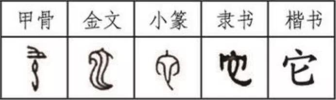 它字家族：“它”是？几千年前，人人怕它······