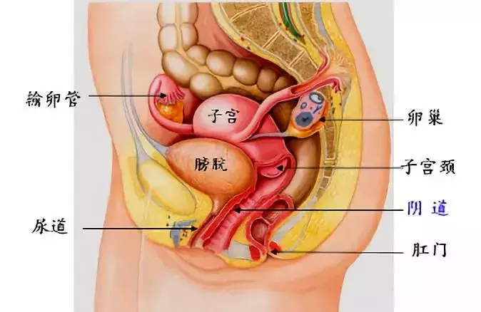 在中国，每天有36000个女孩被骗堕胎