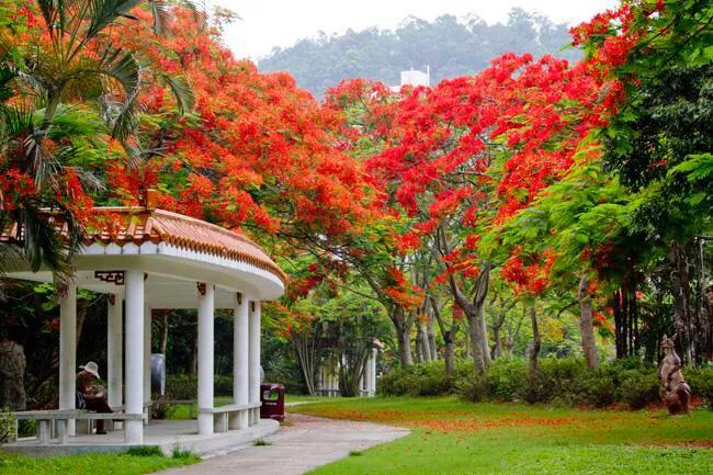 深圳十大免费特色的湖泊公园