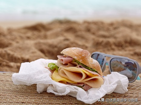 英语原版阅读：Fun at the Beach