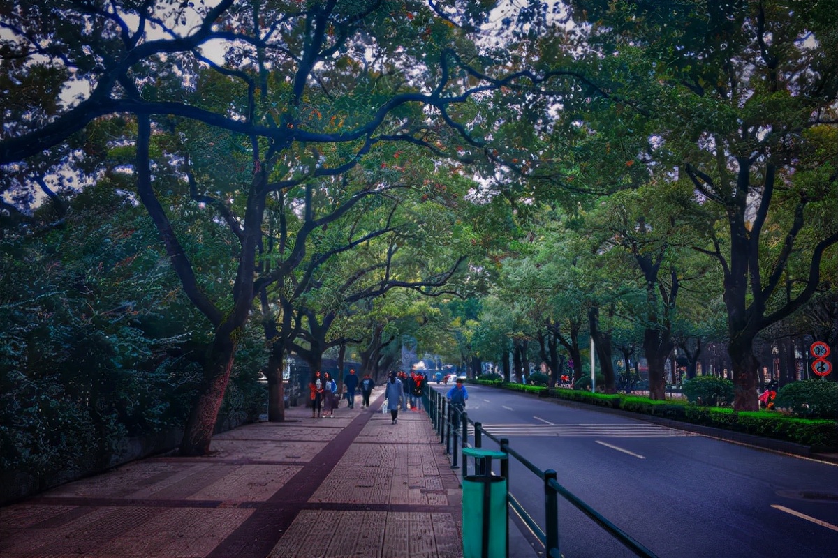 湖南新增“公办大学”，预设5500个学位，教育经费由政府“买单”