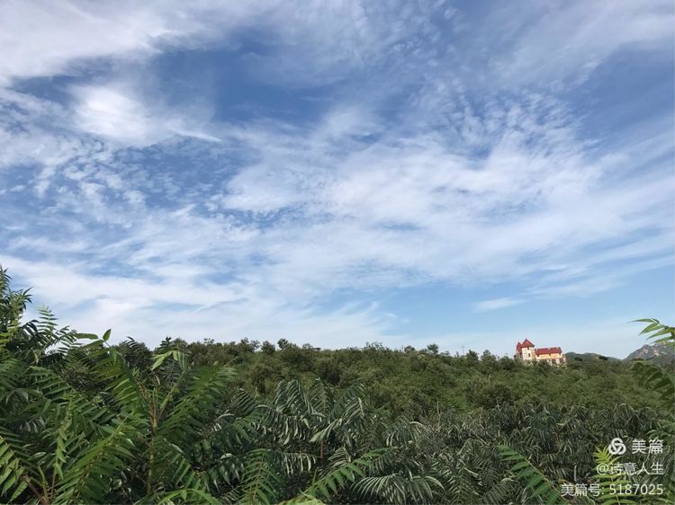 夏日登山汗如泉