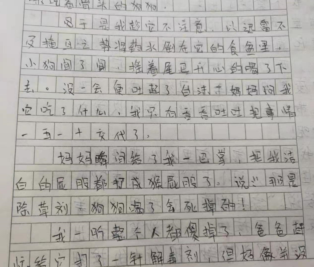 小学生作文《我咋那么傻》走红，满满的辛酸，老师看后流下了眼泪